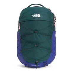 The North Face Women's Borealis -On Running Store NF0A52SI 8E8 hero