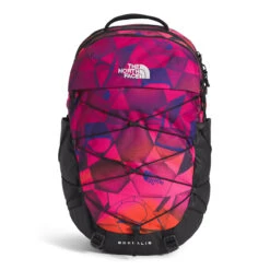 The North Face Women's Borealis -On Running Store NF0A52SI 9B5 hero