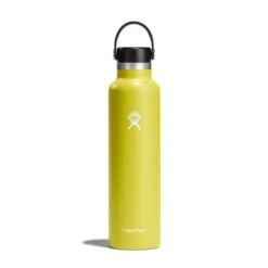 Hydro Flask 24 Oz Standard Mouth Water Bottle -On Running Store s24fs752 cactus straighton